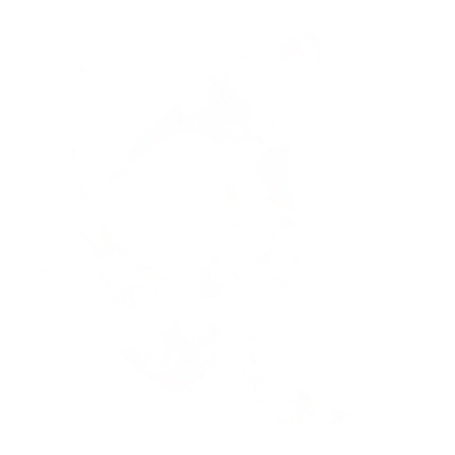Vulgar GEN
